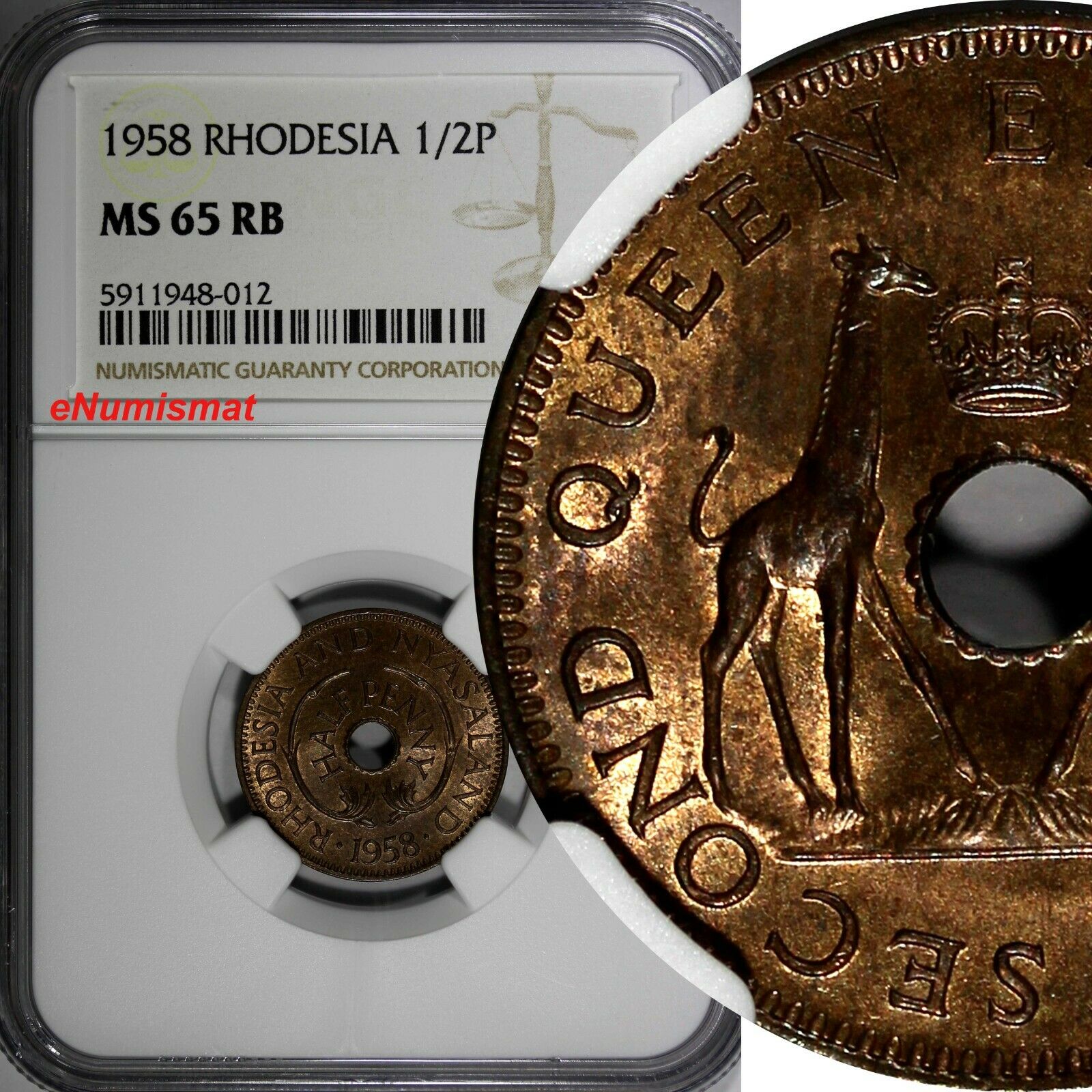 Rhodesia And Nyasaland Bronze 1958 1/2 Penny Ngc Ms65 Rb Top Graded Km# 1 (012)